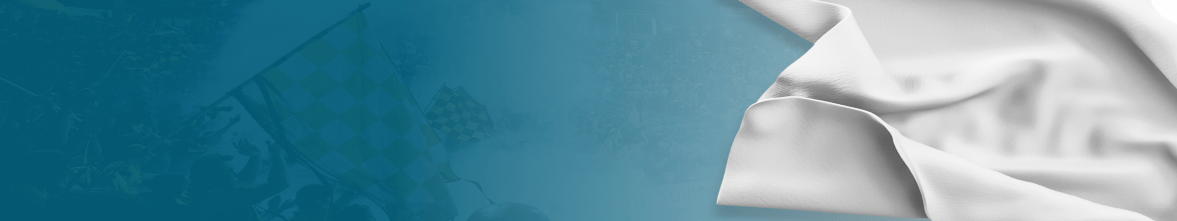 Design your project (Customize your flag)